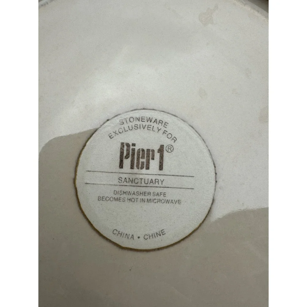 Pier 1 Sanctuary Ceramic Stoneware Dinner Plates Set Of 5 Starburst